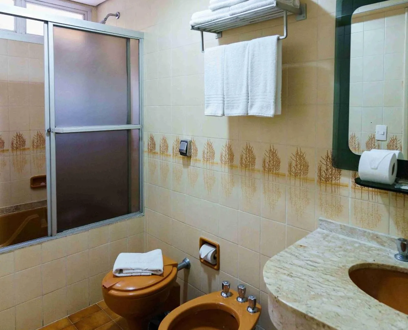 Hotel Pan Americano Sao Paulo